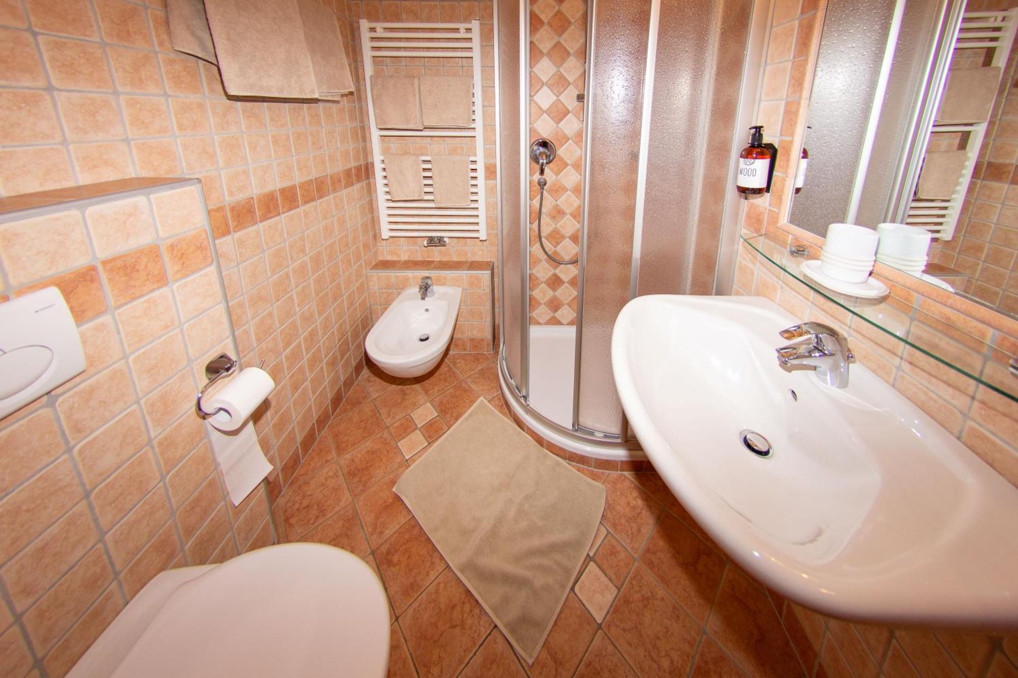Ansitz Steiner Apartman Dobbiaco Kültér fotó